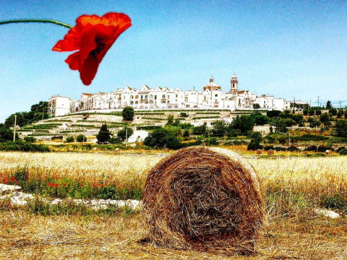Вілла Trulli Francesca Ciclovia Локоротондо Екстер'єр фото